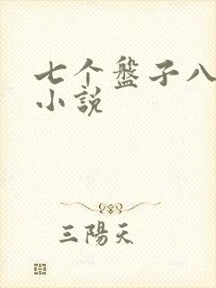 七个盘子八个碗小说