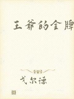 王爷的金牌暗卫