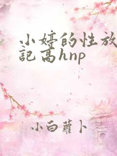 小婷的性放荡日记高hnp