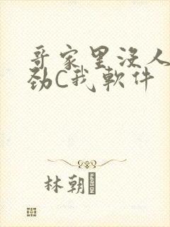 哥家里没人使点劲C我软件