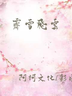 霁雪飞云