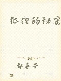 狐狸的秘密下载