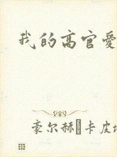 我的高官爱人