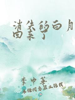 消失的白月光又回来了