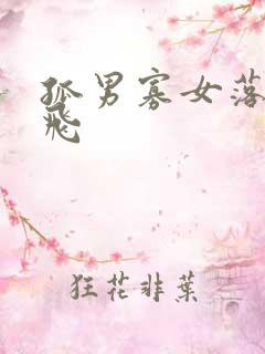 孤男寡女落瑛纷飞