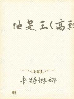 他是王(高干)