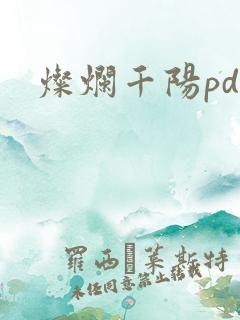 灿烂千阳pdf