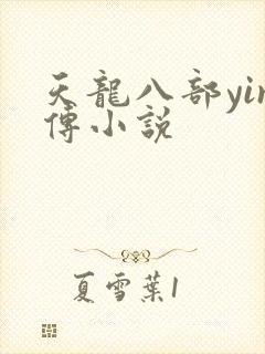 天龙八部yin传小说