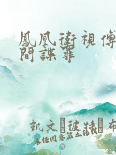 凤凰卫视傅晓甜间谍罪