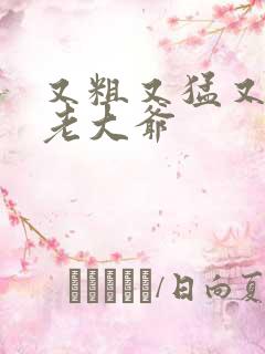 又粗又猛又大爽老大爷