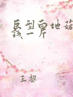 巨型白地菇多少钱一斤