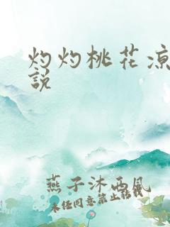 灼灼桃花凉 小说