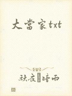 大当家txt