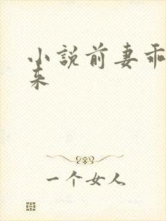 小说前妻乖乖回来