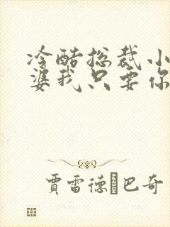 冷酷总裁小小老婆我只要你