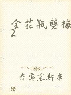 金花瓶双梅花12