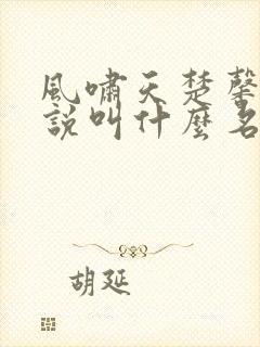 风啸天楚馨月小说叫什么名字