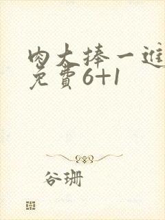 肉大捧一进一出免费6+1