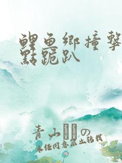 鲤鱼乡撞击敏感点跪趴