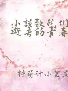 小说致我们终将逝去的青春