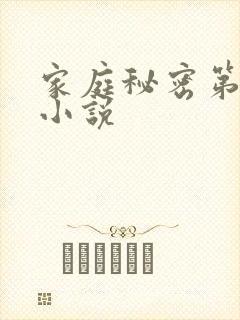 家庭秘密第3集小说