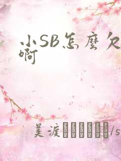 小SB怎么欠C啊