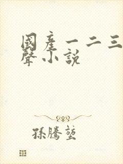 国产一二三区有声小说