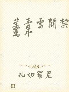 叶青云关禁闭一万年