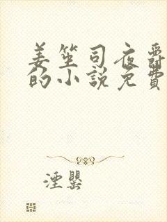 姜笙司夜爵顾念的小说免费阅读