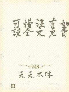 可惜没有如果小说全文免费阅读