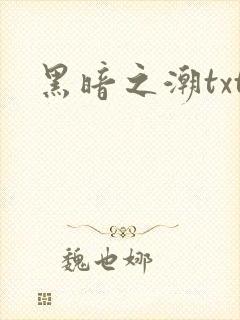 黑暗之潮txt
