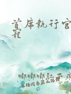 首席执行官的绝宠