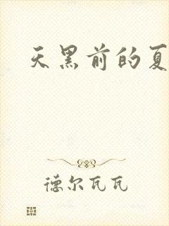 天黑前的夏天