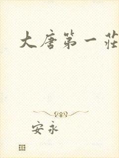 大唐第一庄