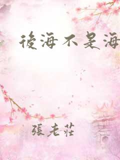 后海不是海小说
