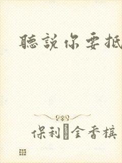 听说你要抵抗我