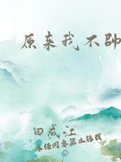 原来我不帅下载