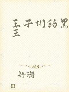 王子们的黑道公主