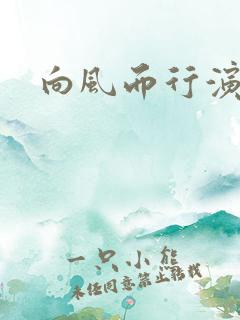 向风而行演员表