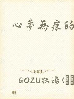 心梦无痕的小说