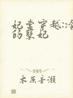 妃常穿越:冷王的孽妃