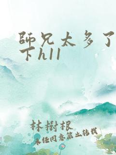 师兄太多了装不下h11