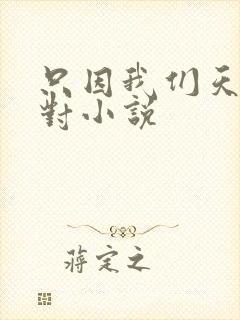 只因我们天生一对小说