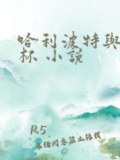 哈利波特与火焰杯 小说