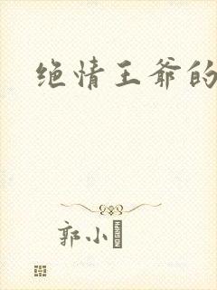 绝情王爷的丑妃