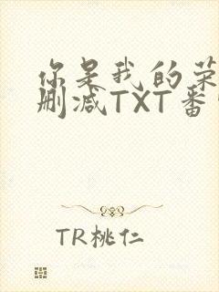 你是我的荣耀未删减TXT番外