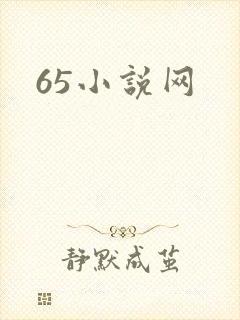 65小说网