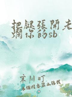 把腿张开老子臊烂你的sb