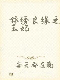 锦绣良缘之北地王妃