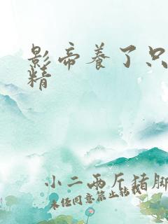 影帝养了只兰花精